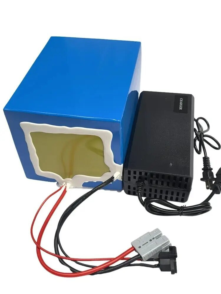 Batería de Iones de Litio de A - 72V 30Ah Lifepo4 Battery Pack reseña y precio