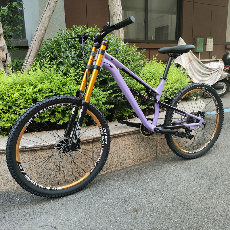 Bicicleta de montaña con suspe - Hydraulic Suspension Fork 11 Inch reseña y precio